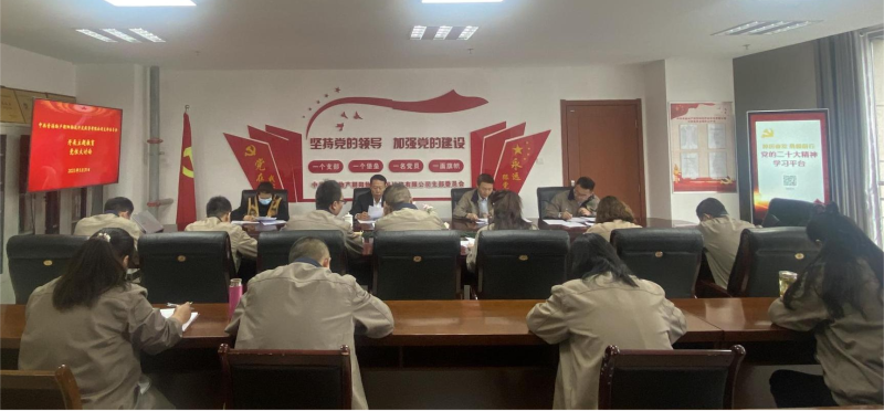 錘煉黨性找差距 堅定信念促擔當&mdash;&mdash;青海物產(chǎn)朝陽物流開發(fā)投資有限公司黨支部開展主題教育黨性大討論