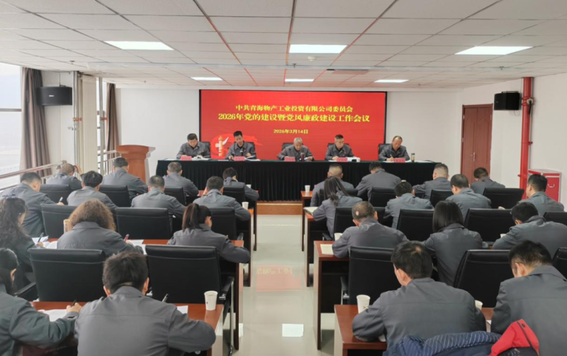 工投公司黨委召開(kāi)2026年黨的建設(shè)暨黨風(fēng)廉政建設(shè)工作會(huì)議