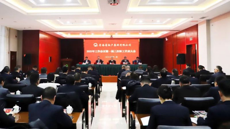 堅(jiān)定信心促發(fā)展 實(shí)干爭先攀新高&mdash;&mdash;省物產(chǎn)集團(tuán)2025年工作會(huì)議暨一屆三次職代會(huì)勝利召開
