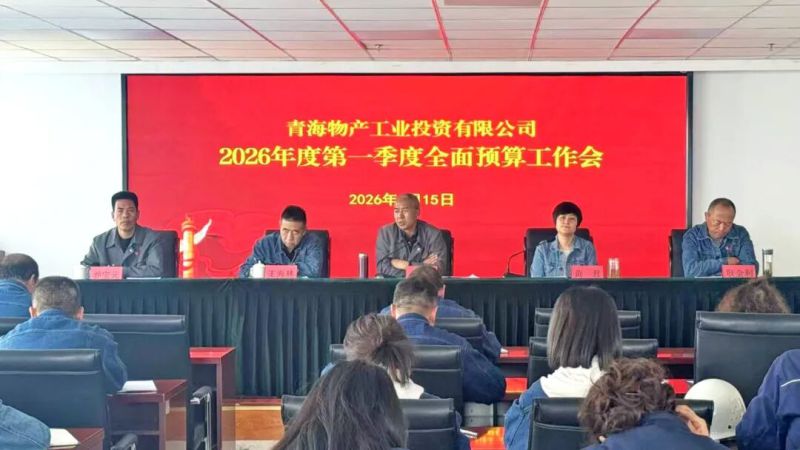 工投公司召開(kāi)一季度預(yù)算執(zhí)行情況分析會(huì)