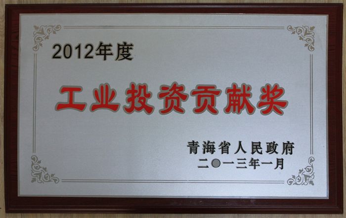 集團榮獲2012年度青海省人民政府&ldquo;工業(yè)投資貢獻(xiàn)獎&rdquo;